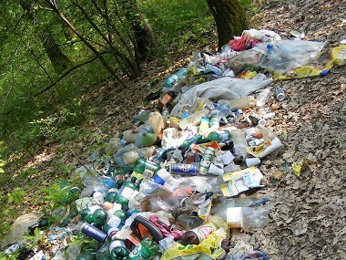 Śmieci porzucone w lesie
